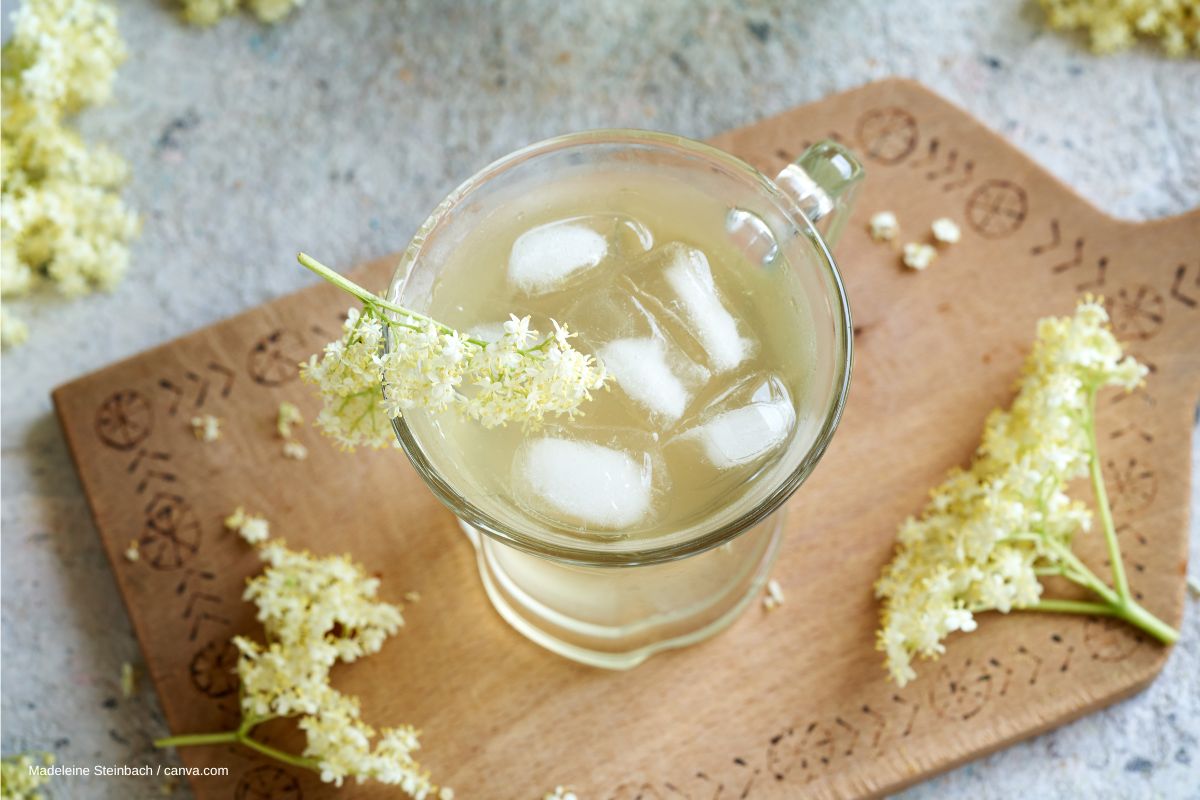 Limonade mit Holunderblütensirup