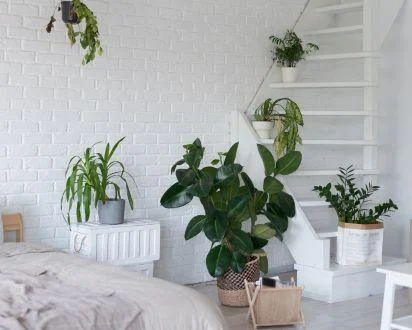 pflanzen für das schlafzimmer