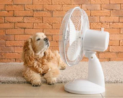 mit Ventilator schlafen